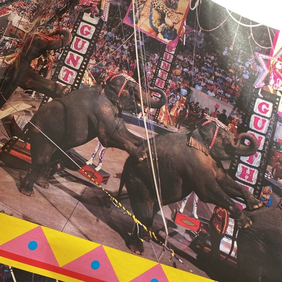 Ringling brothers Barnum, and Bailey Circus souvenir program - Picture 10 of 12